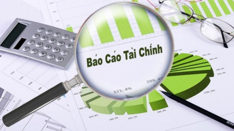 Alt text: Biểu đồ phân tích doanh thu của công ty