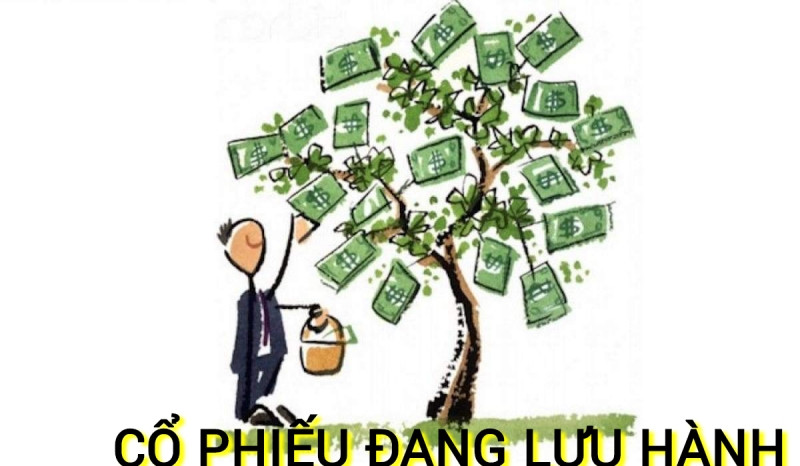 alt text: Biểu đồ thể hiện cổ phiếu đang lưu hành trên thị trường