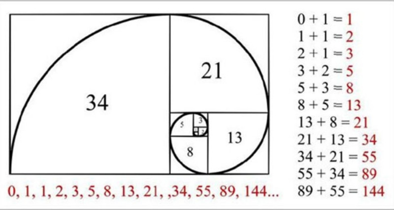 alt text: Hình minh họa dãy số Fibonacci