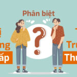 Thị trường chứng khoán sơ cấp và thứ cấp là gì?